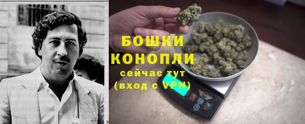 прущая мука Гусев