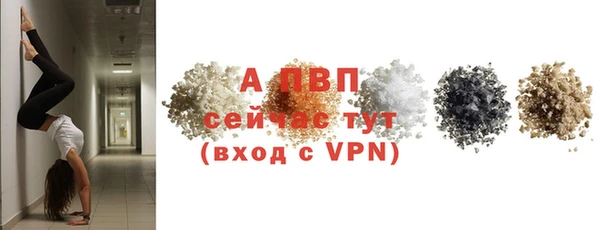 прущая мука Гусев