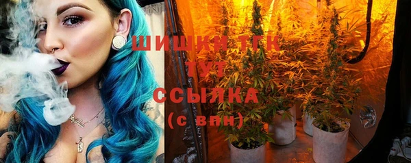 прущая мука Гусев