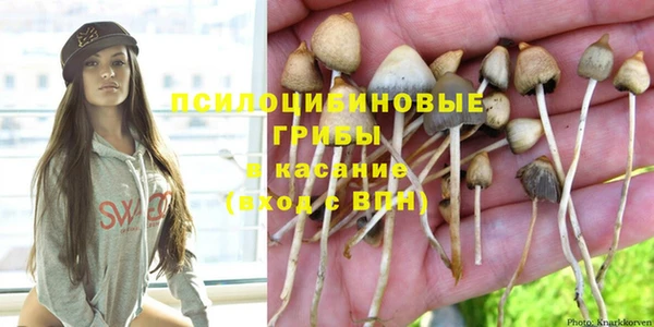 jwh Гусиноозёрск