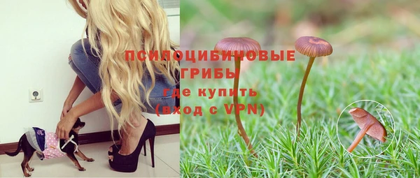 jwh Гусиноозёрск