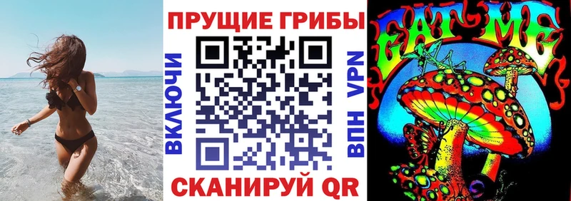 Псилоцибиновые грибы мицелий  гидра сайт  Новомосковск 